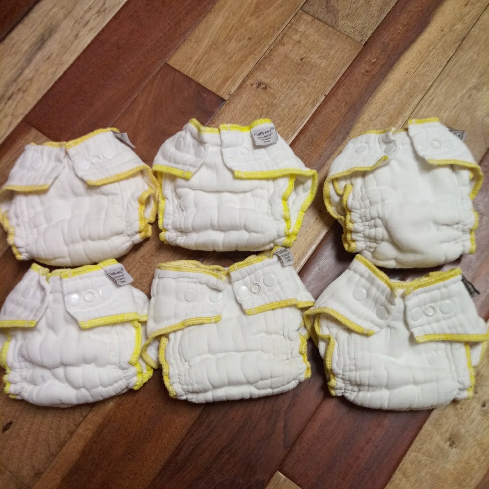 6 Cloth-eze Organic Small GMD Workhorses